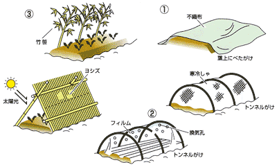 0512冬の野菜を寒さから守には Ja西春日井