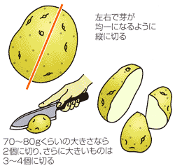 0803ジャガイモの植えつけは適期に 良い種芋で Ja西春日井