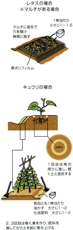 1107施肥のポイント Ja西春日井