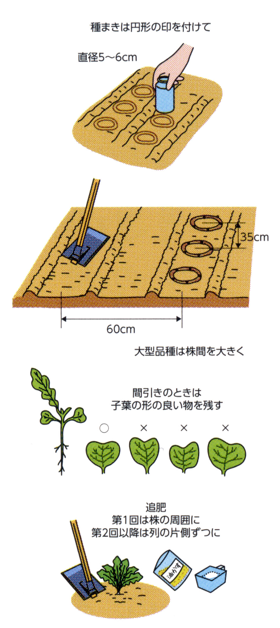 1809 おいしくて形の良いダイコン作りのポイント Ja西春日井