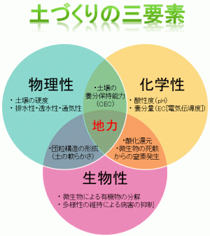 基礎編 Ja西春日井