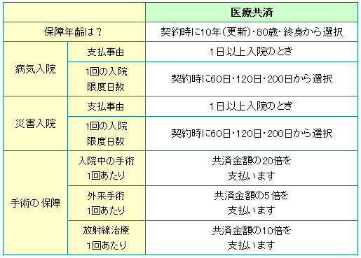 Ja 年金 共済